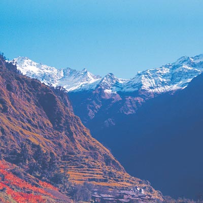 The Mount Valley Taxi